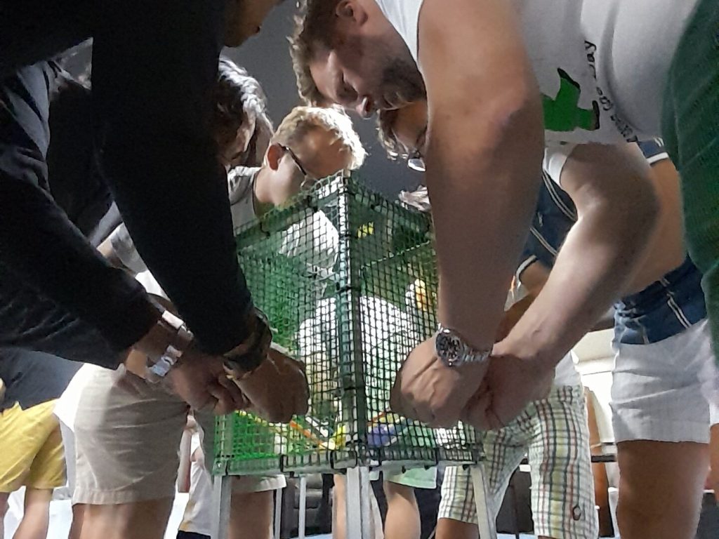 Another teamwork session